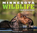 Minnesota Wildlife Impressions - Paperback