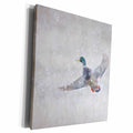 3dRose Mallard drake flying in heavy snow - Museum Grade Canvas Wrap (cw_313960)